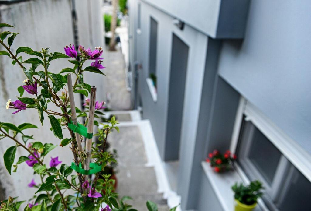 Melissa Rooms Agios Kirykos  Ngoại thất bức ảnh